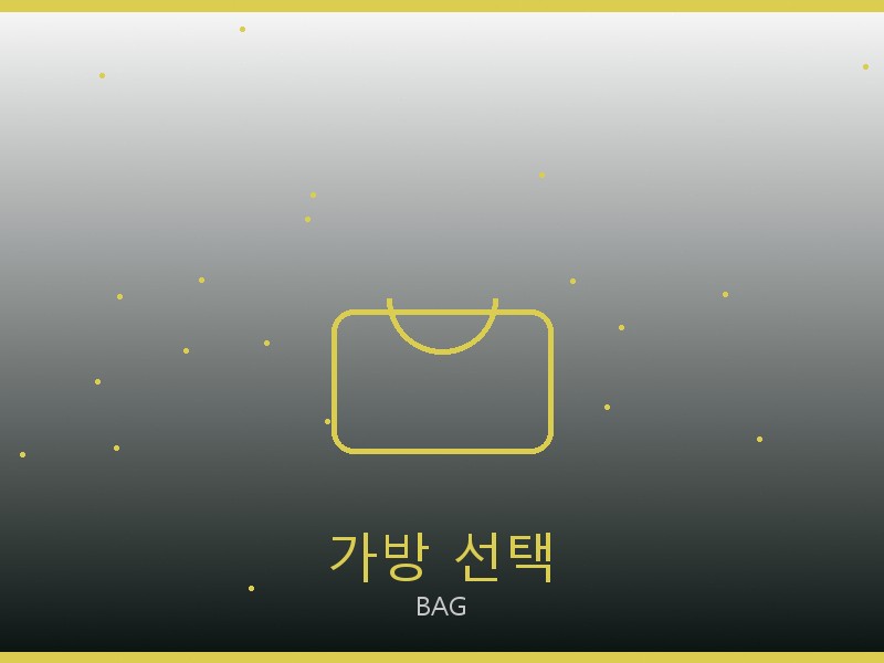 프라다 캐리올 PM S급 가방 선택 가이드