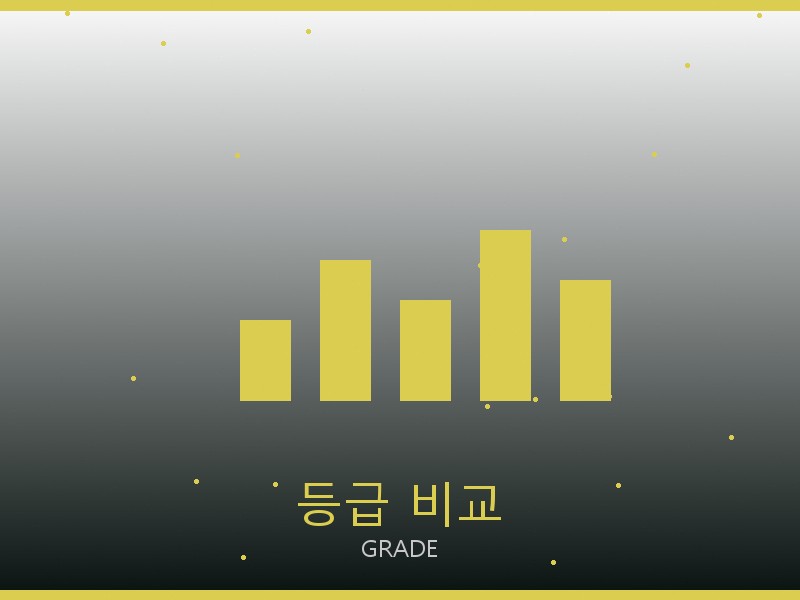 프라다 캐리올 PM S급 등급 기준 비교