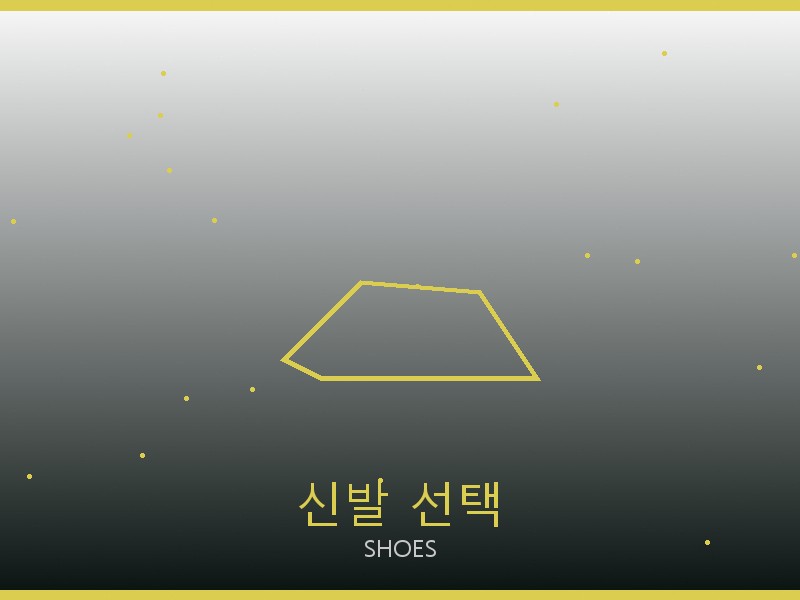 프라다 캐리올 PM S급 신발 선택 가이드
